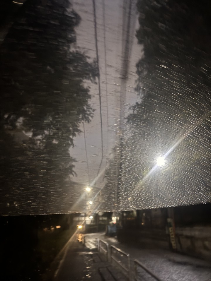 アップロード画像